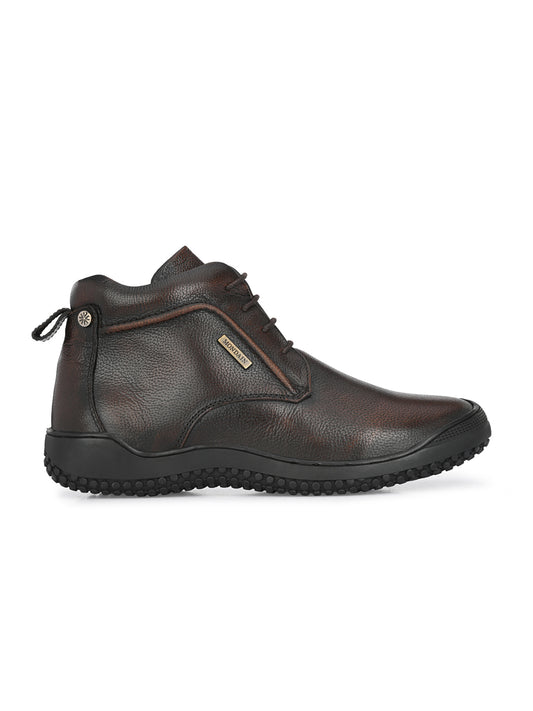 Urban Explorers Brown