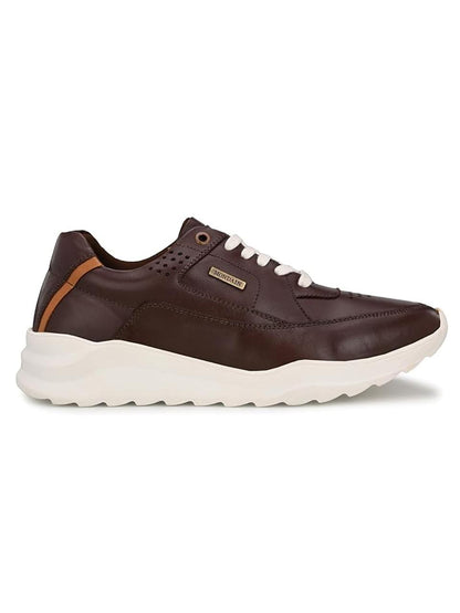 Nomad Steps Brown